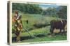 North Carolina - Cherokee Farmer with Ox-Drawn Plow-Lantern Press-Stretched Canvas