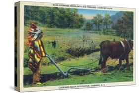 North Carolina - Cherokee Farmer with Ox-Drawn Plow-Lantern Press-Stretched Canvas