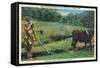 North Carolina - Cherokee Farmer with Ox-Drawn Plow-Lantern Press-Framed Stretched Canvas