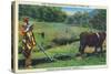 North Carolina - Cherokee Farmer with Ox-Drawn Plow-Lantern Press-Stretched Canvas