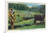 North Carolina - Cherokee Farmer with Ox-Drawn Plow-Lantern Press-Framed Art Print