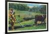 North Carolina - Cherokee Farmer with Ox-Drawn Plow-Lantern Press-Framed Art Print