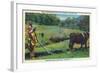 North Carolina - Cherokee Farmer with Ox-Drawn Plow-Lantern Press-Framed Art Print