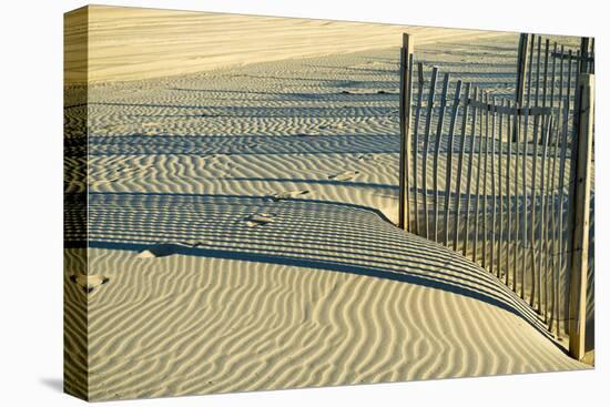 North Carolina. Dune Fence, Light, Shadow and Ripples in the Sand-Rona Schwarz-Stretched Canvas