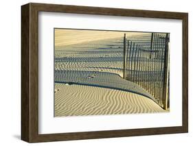 North Carolina. Dune Fence, Light, Shadow and Ripples in the Sand-Rona Schwarz-Framed Photographic Print