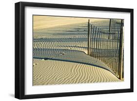 North Carolina. Dune Fence, Light, Shadow and Ripples in the Sand-Rona Schwarz-Framed Photographic Print