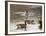 North Carolina Geese-Bruce Dumas-Framed Giclee Print