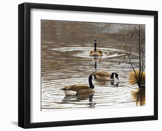 North Carolina Geese-Bruce Dumas-Framed Giclee Print