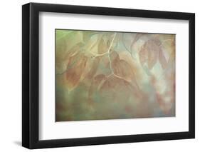 North Carolina, Great Smoky Mountains. Impressionistic Detail of Fall Leaves-Jaynes Gallery-Framed Photographic Print