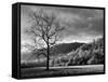 North Carolina, Great Smoky Mountains National Park, Storm Clearing at Dawn in Cataloochee Valley-Ann Collins-Framed Stretched Canvas