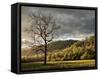 North Carolina, Great Smoky Mountains National Park, Storm Clearing at Dawn in Cataloochee Valley-Ann Collins-Framed Stretched Canvas