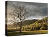 North Carolina, Great Smoky Mountains National Park, Storm Clearing at Dawn in Cataloochee Valley-Ann Collins-Stretched Canvas