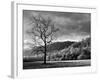 North Carolina, Great Smoky Mountains National Park, Storm Clearing at Dawn in Cataloochee Valley-Ann Collins-Framed Photographic Print