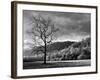 North Carolina, Great Smoky Mountains National Park, Storm Clearing at Dawn in Cataloochee Valley-Ann Collins-Framed Photographic Print