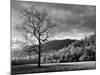 North Carolina, Great Smoky Mountains National Park, Storm Clearing at Dawn in Cataloochee Valley-Ann Collins-Mounted Photographic Print