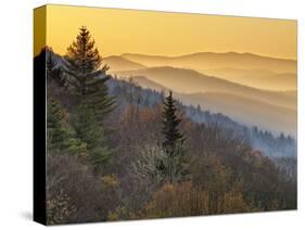 North Carolina, Great Smoky Mountains National Park, Sunrise from the Oconaluftee Valley Overlook-Ann Collins-Stretched Canvas