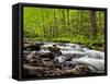 North Carolina, Great Smoky Mountains National Park, Water Flows at Straight Fork Near Cherokee-Ann Collins-Framed Stretched Canvas