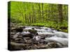 North Carolina, Great Smoky Mountains National Park, Water Flows at Straight Fork Near Cherokee-Ann Collins-Stretched Canvas