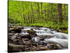 North Carolina, Great Smoky Mountains National Park, Water Flows at Straight Fork Near Cherokee-Ann Collins-Stretched Canvas