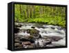 North Carolina, Great Smoky Mountains National Park, Water Flows at Straight Fork Near Cherokee-Ann Collins-Framed Stretched Canvas