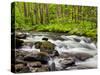 North Carolina, Great Smoky Mountains National Park, Water Flows at Straight Fork Near Cherokee-Ann Collins-Stretched Canvas