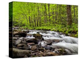 North Carolina, Great Smoky Mountains National Park, Water Flows at Straight Fork Near Cherokee-Ann Collins-Stretched Canvas