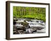 North Carolina, Great Smoky Mountains National Park, Water Flows at Straight Fork Near Cherokee-Ann Collins-Framed Photographic Print