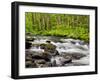 North Carolina, Great Smoky Mountains National Park, Water Flows at Straight Fork Near Cherokee-Ann Collins-Framed Photographic Print