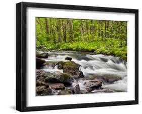 North Carolina, Great Smoky Mountains National Park, Water Flows at Straight Fork Near Cherokee-Ann Collins-Framed Photographic Print