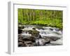 North Carolina, Great Smoky Mountains National Park, Water Flows at Straight Fork Near Cherokee-Ann Collins-Framed Photographic Print