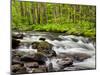 North Carolina, Great Smoky Mountains National Park, Water Flows at Straight Fork Near Cherokee-Ann Collins-Mounted Photographic Print