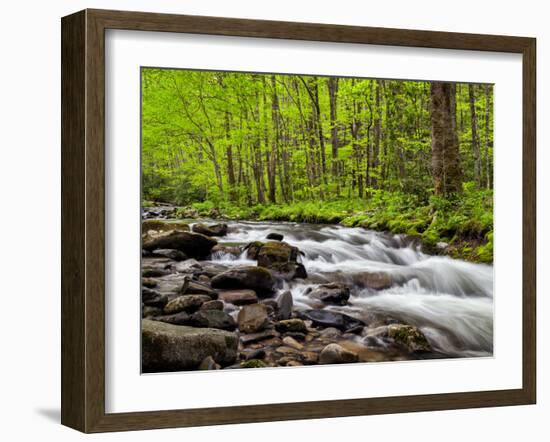 North Carolina, Great Smoky Mountains National Park, Water Flows at Straight Fork Near Cherokee-Ann Collins-Framed Photographic Print