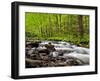 North Carolina, Great Smoky Mountains National Park, Water Flows at Straight Fork Near Cherokee-Ann Collins-Framed Photographic Print