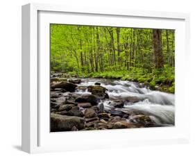 North Carolina, Great Smoky Mountains National Park, Water Flows at Straight Fork Near Cherokee-Ann Collins-Framed Photographic Print