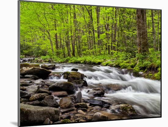 North Carolina, Great Smoky Mountains National Park, Water Flows at Straight Fork Near Cherokee-Ann Collins-Mounted Photographic Print