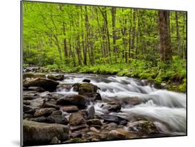 North Carolina, Great Smoky Mountains National Park, Water Flows at Straight Fork Near Cherokee-Ann Collins-Mounted Photographic Print