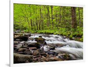 North Carolina, Great Smoky Mountains National Park, Water Flows at Straight Fork Near Cherokee-Ann Collins-Framed Photographic Print