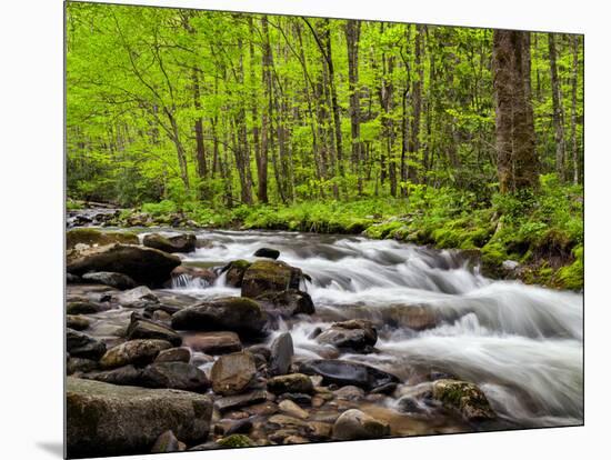 North Carolina, Great Smoky Mountains National Park, Water Flows at Straight Fork Near Cherokee-Ann Collins-Mounted Photographic Print