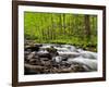 North Carolina, Great Smoky Mountains National Park, Water Flows at Straight Fork Near Cherokee-Ann Collins-Framed Photographic Print
