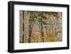 North Carolina, Great Smoky Mountains NP, View from Newfound Gap Road-Jamie & Judy Wild-Framed Photographic Print