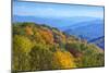 North Carolina, Great Smoky Mountains NP, View from Newfound Gap Road-Jamie & Judy Wild-Mounted Photographic Print