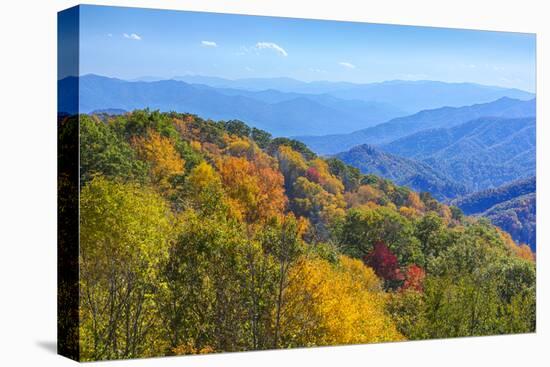 North Carolina, Great Smoky Mountains NP, View from Newfound Gap Road-Jamie & Judy Wild-Stretched Canvas