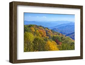 North Carolina, Great Smoky Mountains NP, View from Newfound Gap Road-Jamie & Judy Wild-Framed Photographic Print