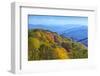 North Carolina, Great Smoky Mountains NP, View from Newfound Gap Road-Jamie & Judy Wild-Framed Photographic Print