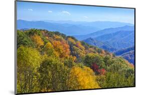 North Carolina, Great Smoky Mountains NP, View from Newfound Gap Road-Jamie & Judy Wild-Mounted Photographic Print
