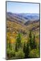 North Carolina, Great Smoky Mountains NP, View from Newfound Gap Road-Jamie & Judy Wild-Mounted Photographic Print