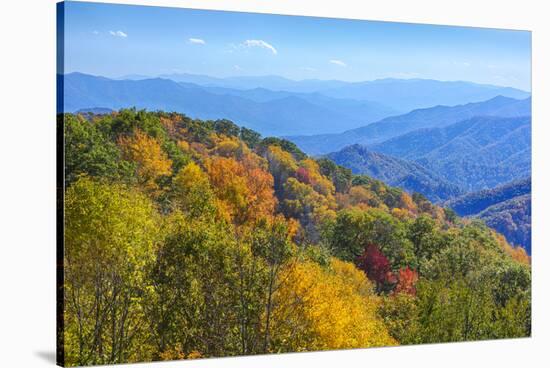 North Carolina, Great Smoky Mountains NP, View from Newfound Gap Road-Jamie & Judy Wild-Stretched Canvas