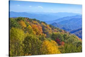 North Carolina, Great Smoky Mountains NP, View from Newfound Gap Road-Jamie & Judy Wild-Stretched Canvas
