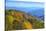 North Carolina, Great Smoky Mountains NP, View from Newfound Gap Road-Jamie & Judy Wild-Stretched Canvas