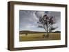 North Carolina, Kill Devil Hills, Wright Brothers National Memorial-Walter Bibikow-Framed Photographic Print